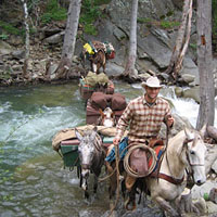 pack trip