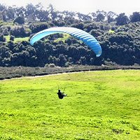 paragliding_gallery_field Santa Barbara Paragliding