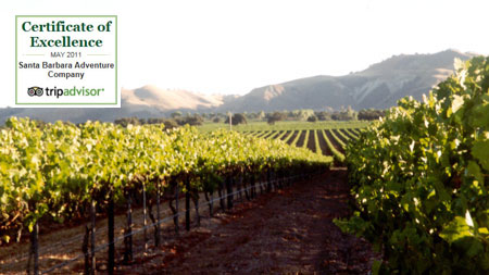 wine tour Santa Ynez Wine Tour