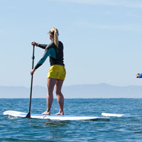 SUP Santa Barbara