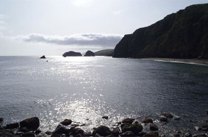 Pin It Book a day of Sea Cave Kayaking July 2nd, 3rd, 4th or 5th and enjoy camping in Channel Islands National Park on us! Come explore the sea caves with us, but don’t go home. Stay the night and enjoy a 2nd day of island life! Go on a self-guided hike, do some tide [...]