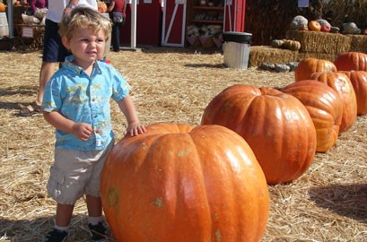 Pin It As October begins, we are again blessed with many wonderful festivals to visit and enjoy. This weekend I am so excited to head out to the Avocado Festival in Carpinteria. The weather is looking amazing Saturday and Sunday, so it should be an incredible event. Later in the month, there are plenty of [...]