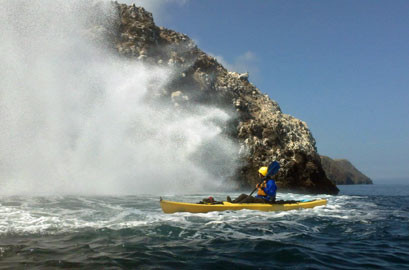 Are you ready for an amazing adventure? We have been working hard all Winter to develop a new epic California Island Adventure for you. This multi-day trip departs from Santa Barbara harbor and cruises to 3 of the areas beautiful, pristine Channel Islands. Guests will see amazing wildlife, kayak sea caves and snorkel in hidden [...]