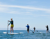 Stand Up Paddle Group