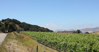 wine country tours and tastings