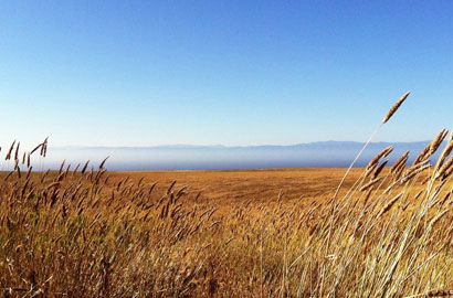 Things to do channel islands
