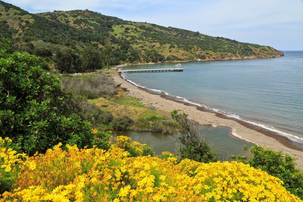 Santa Cruz Island