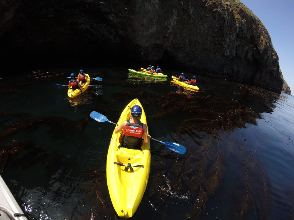Kayaking tour company in Channel Islands National Park