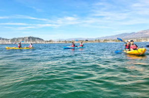 kayaking SB harbor