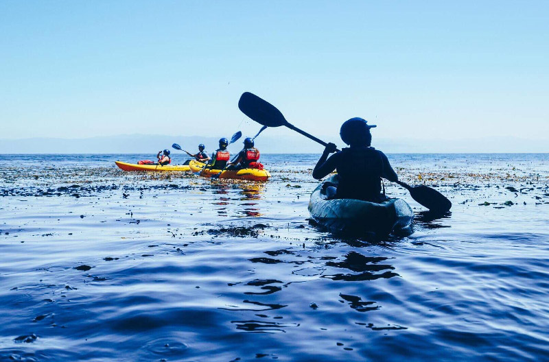 Channel Islands Sea Cave Kayak tours