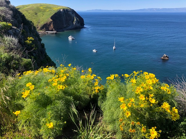 spring in channel islands