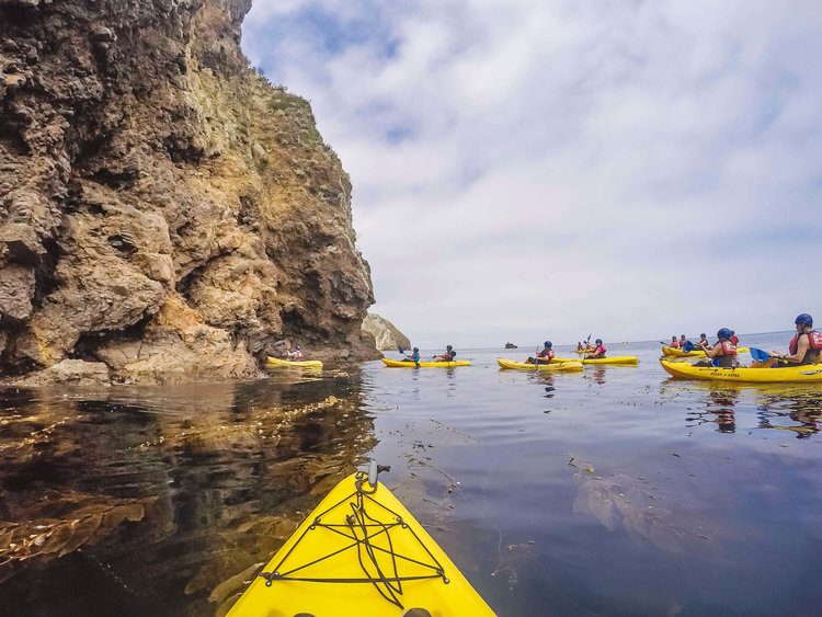 LIMITED TIME Channel Islands Sea Cave Kayaking Santa Barbara