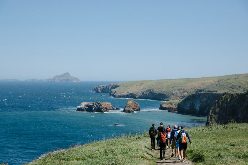 wildlife of Channel Islands National Park