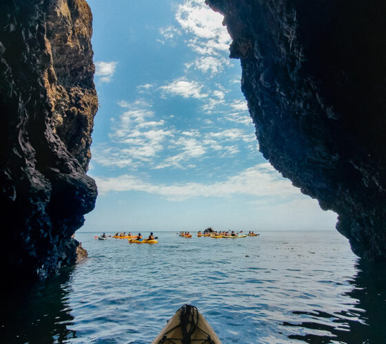 Adventure Sea Cave Kayak Tour