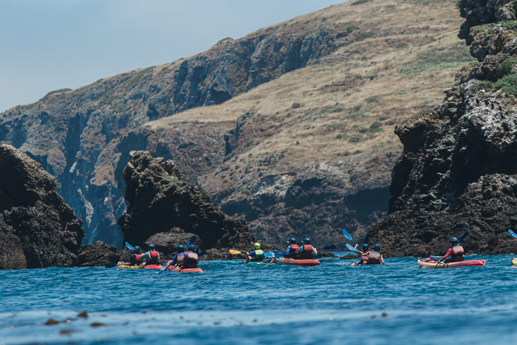 Santa Cruz Travel Guide  Santa Cruz Tourism - KAYAK