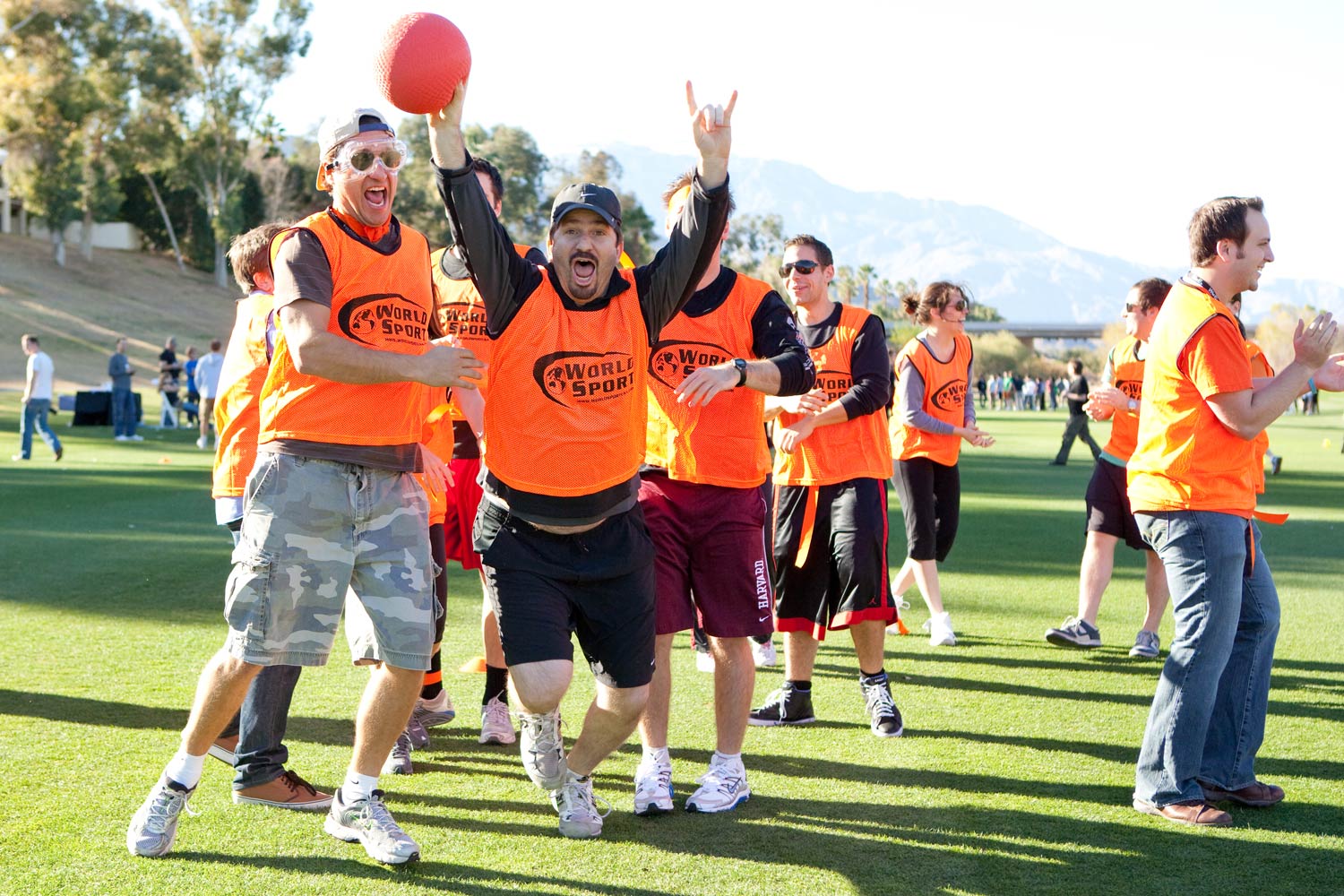 Field Olympics team building